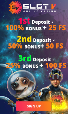Slot V